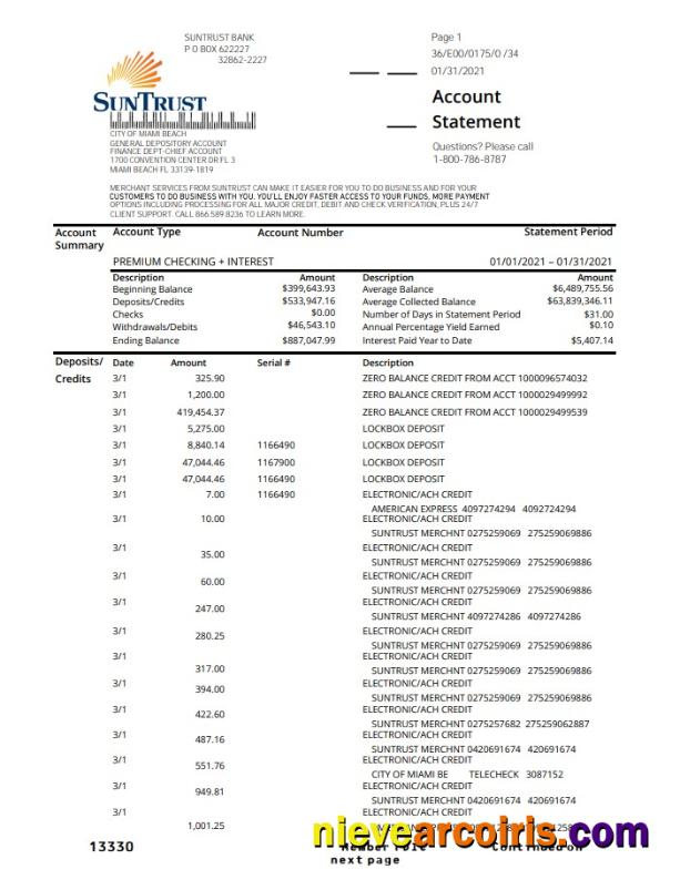 USA SunTrust bank proof of address statement in .xls and .pdf format